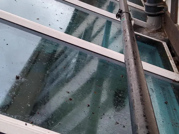 Gutter clearing on a conservatory roof, debris being removed by hand