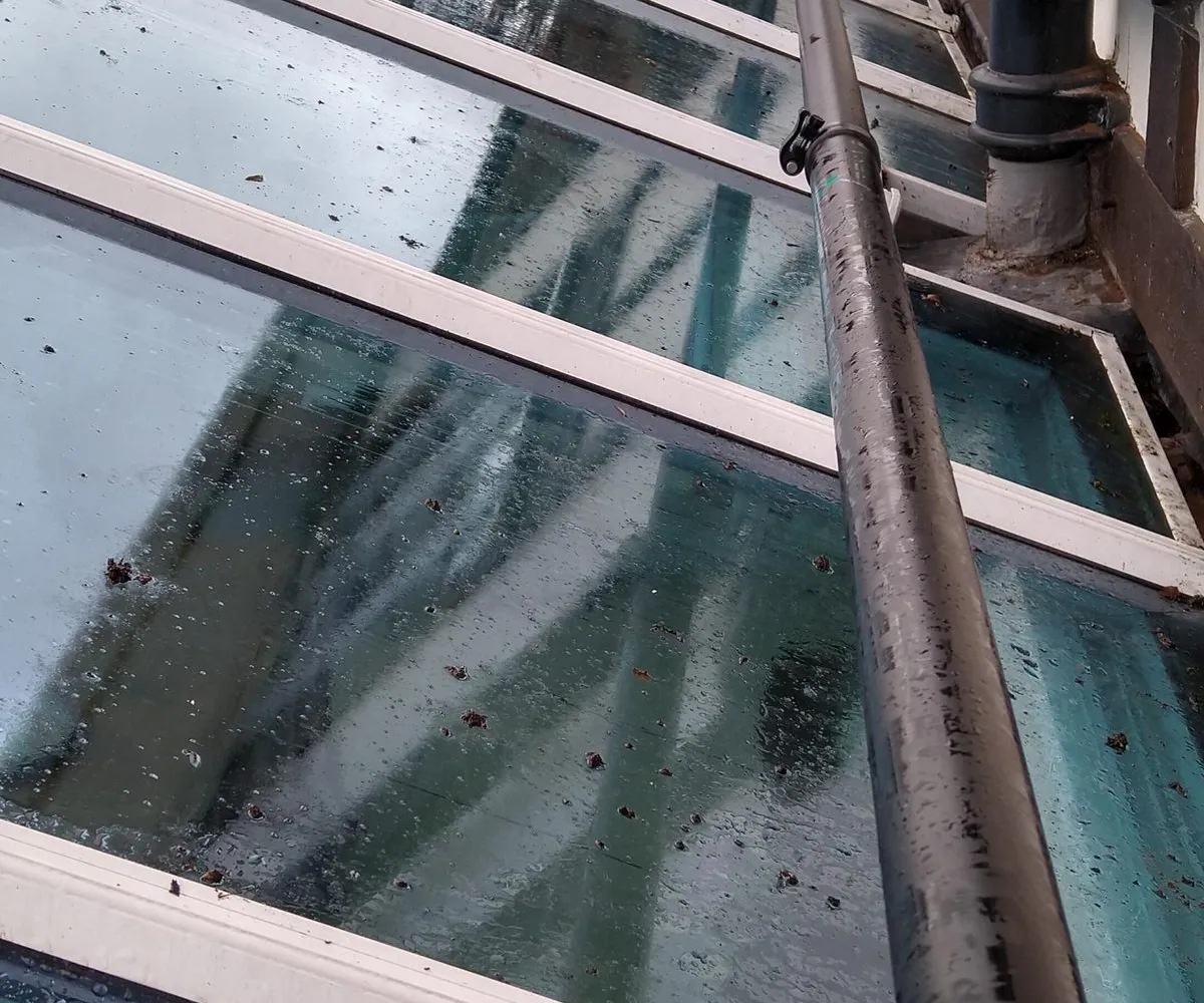 Gutter cleaning in Guildford, a pole clearing leaves from the gutter along a conservatory roof